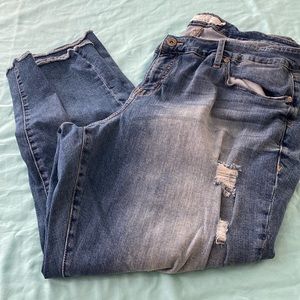 Torrid jeans